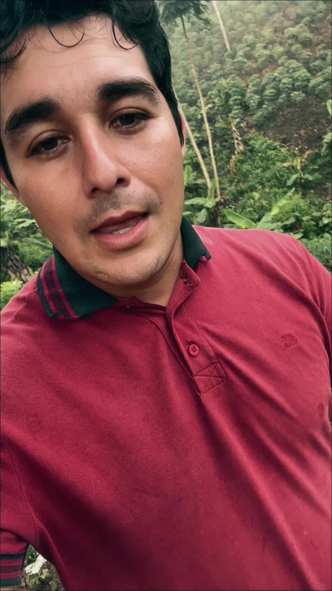 @Alfredo Parra oficial1