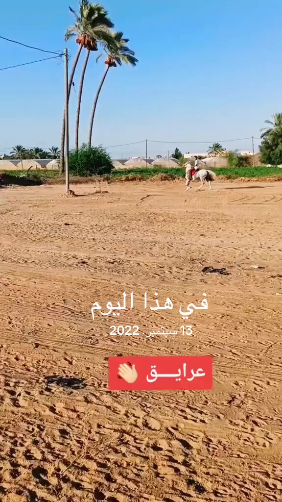 @شريف ابو مسعود