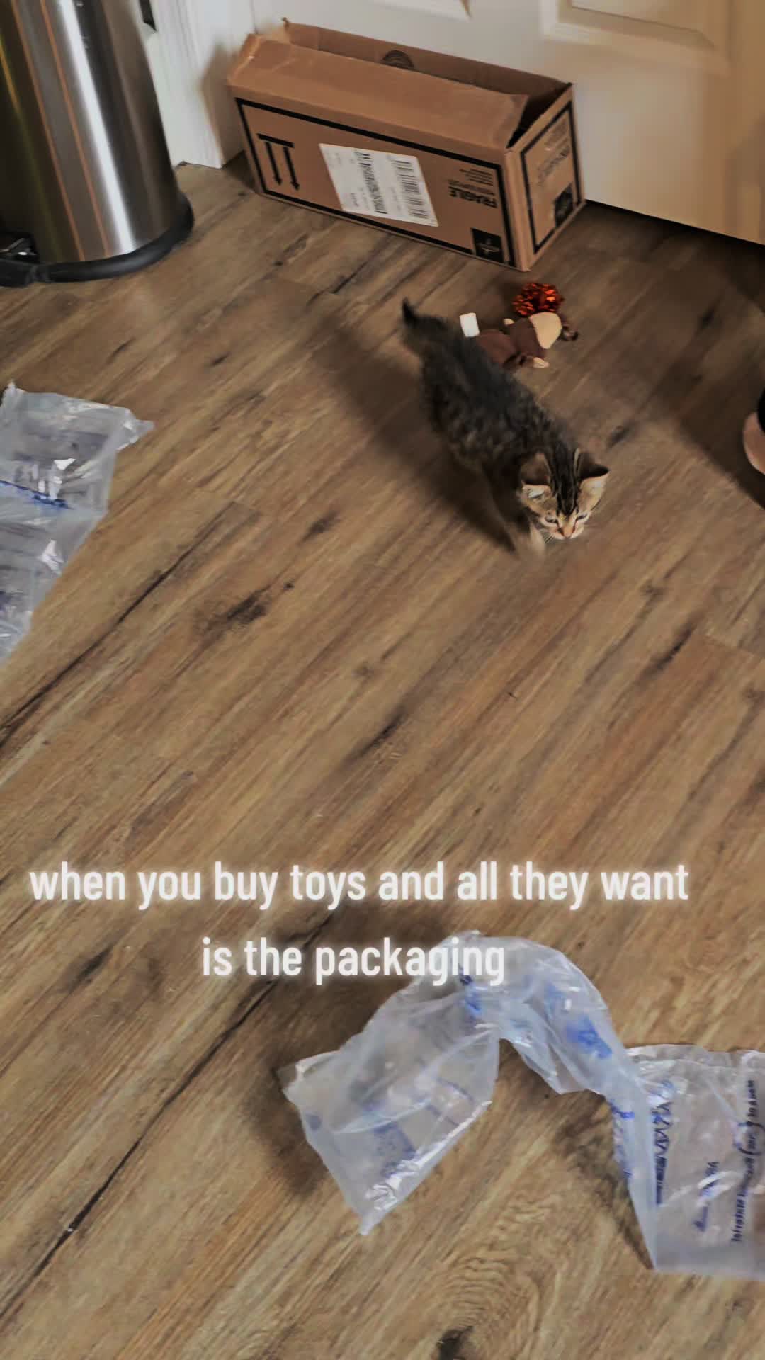 @piglettheduckthat