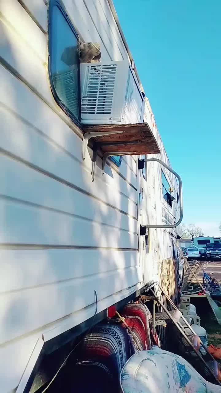 @TrailerMuse🤍
