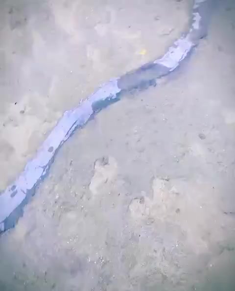 @MR_ali