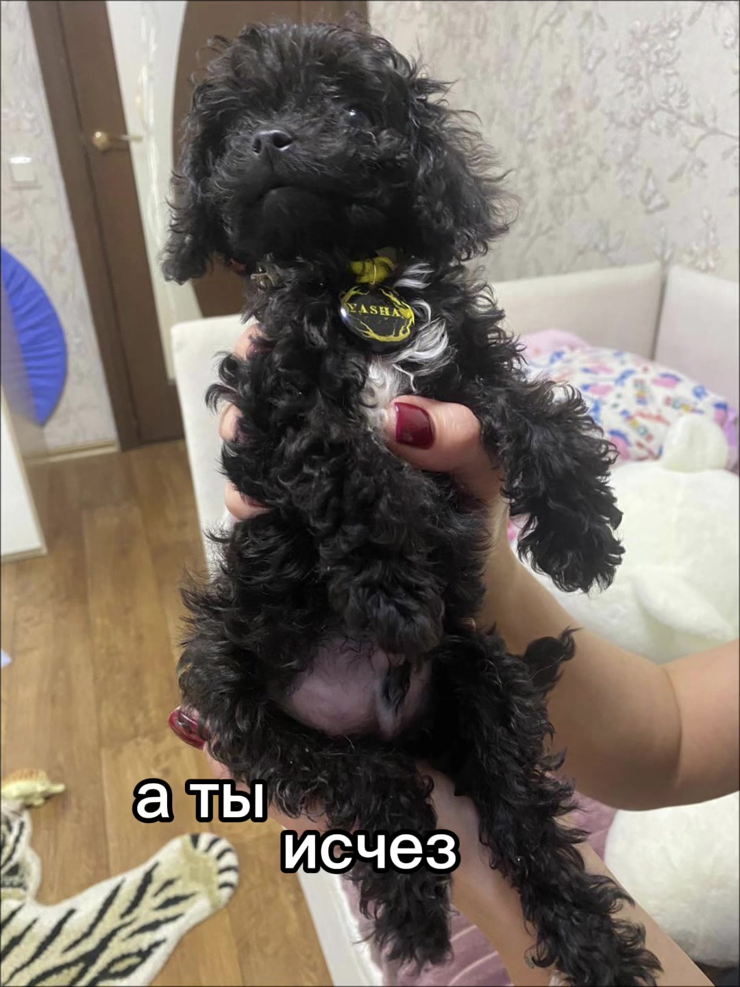 @лиза