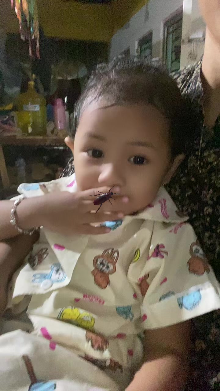 @Windaw25