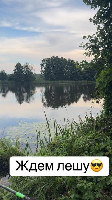 @🇧🇾Денис Занкевич🇧🇾Brest😎