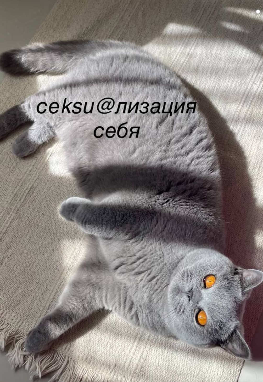 @мамин хep