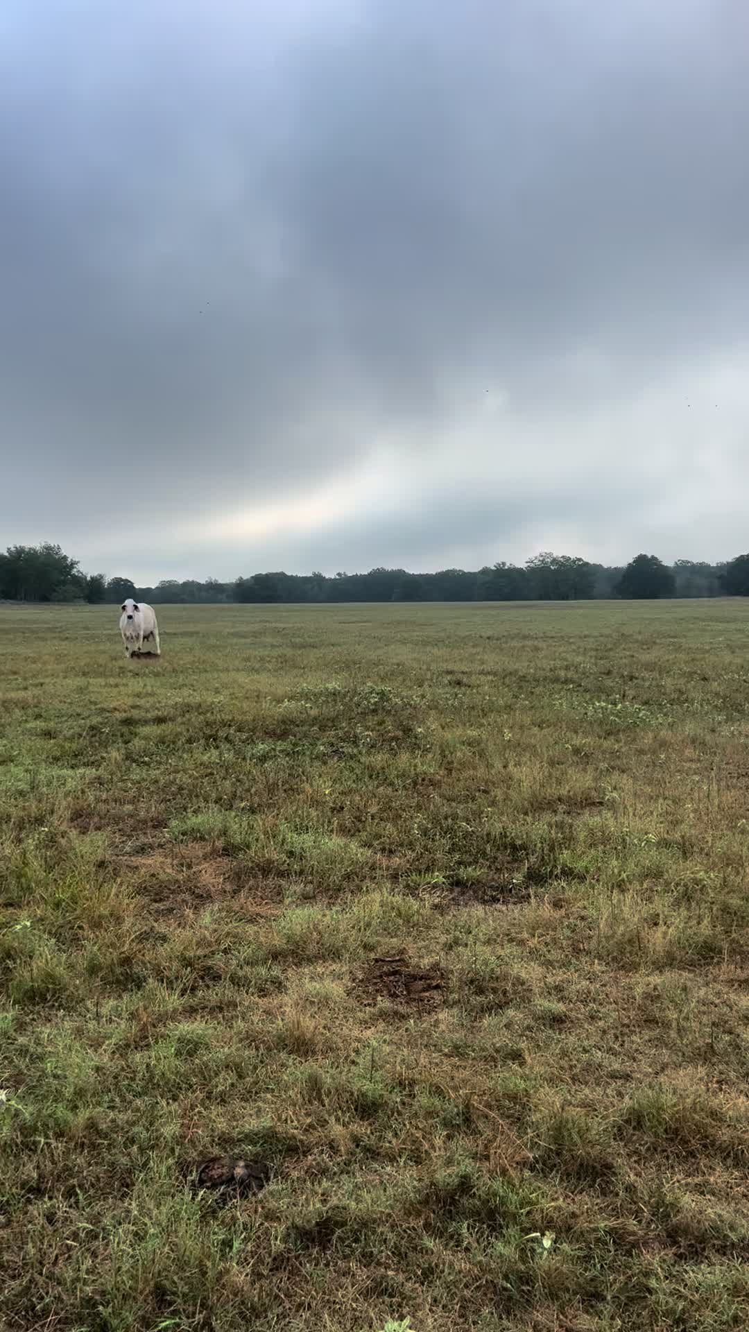 @The V6 Ranch