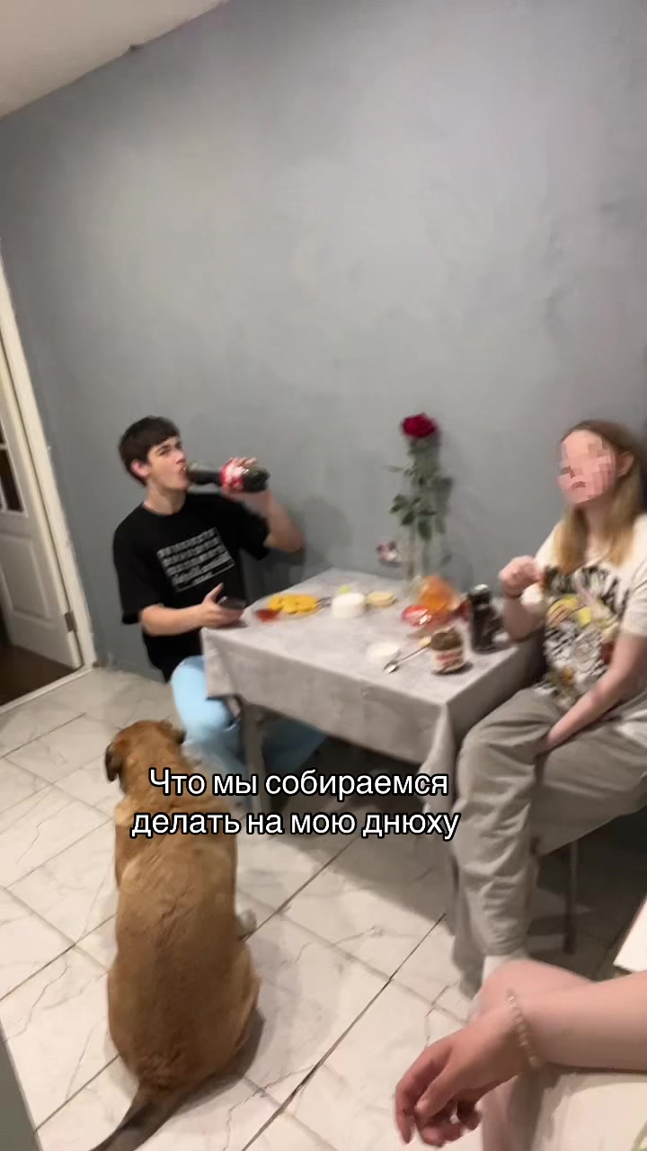 @Mini_Apolit