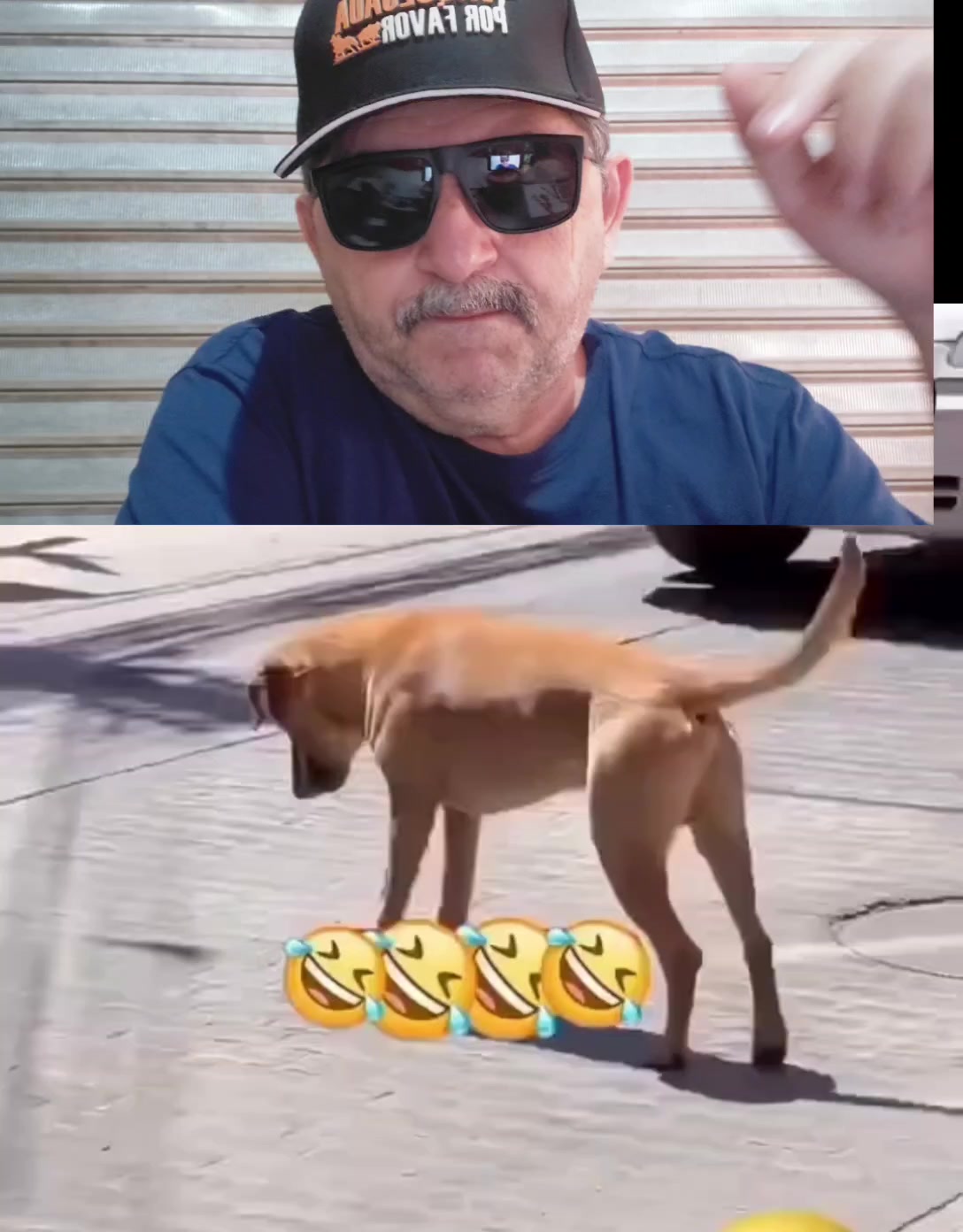 @canal do dia a dia da família