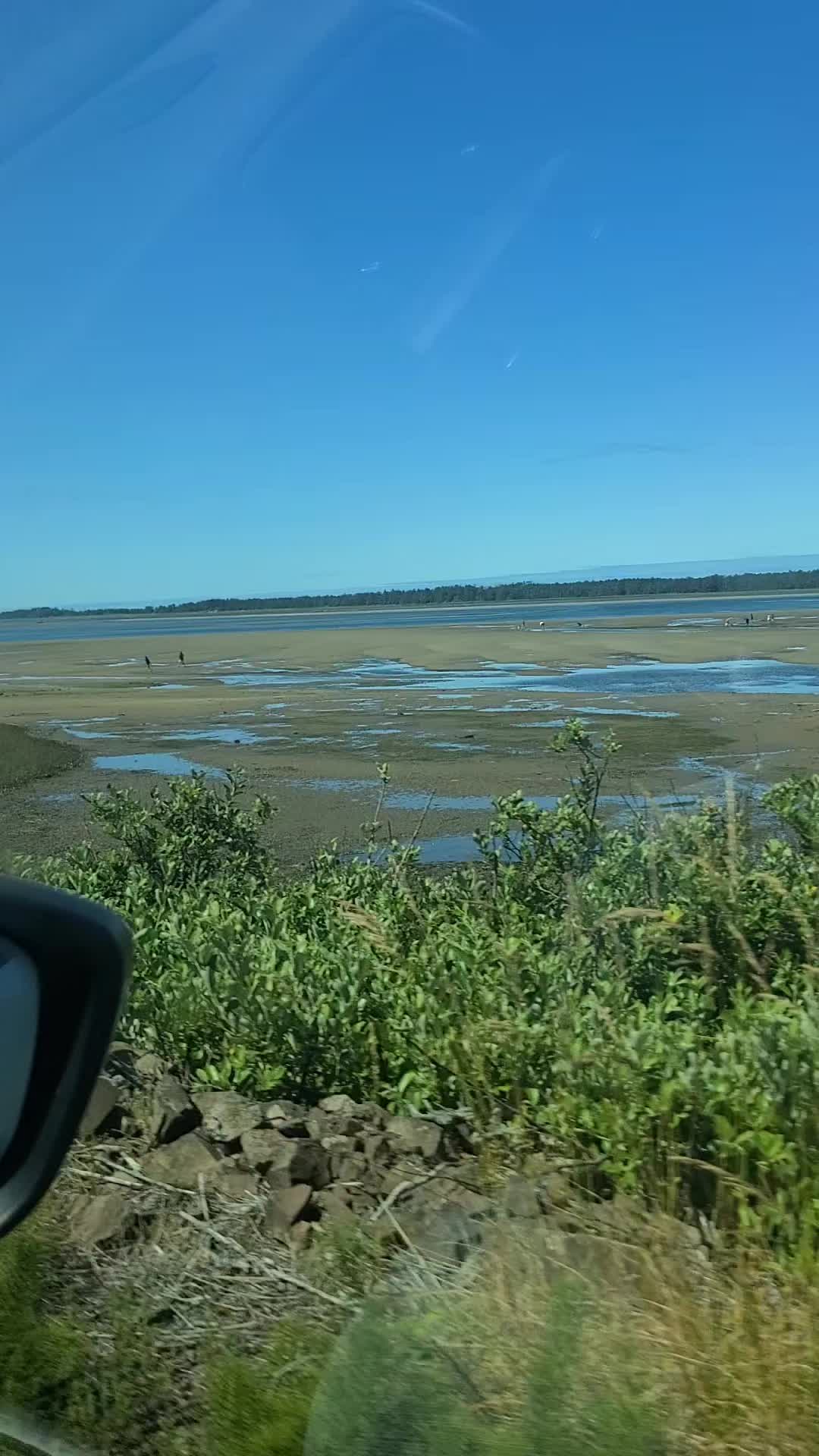 @Wendy 🇺🇲 🇨🇦