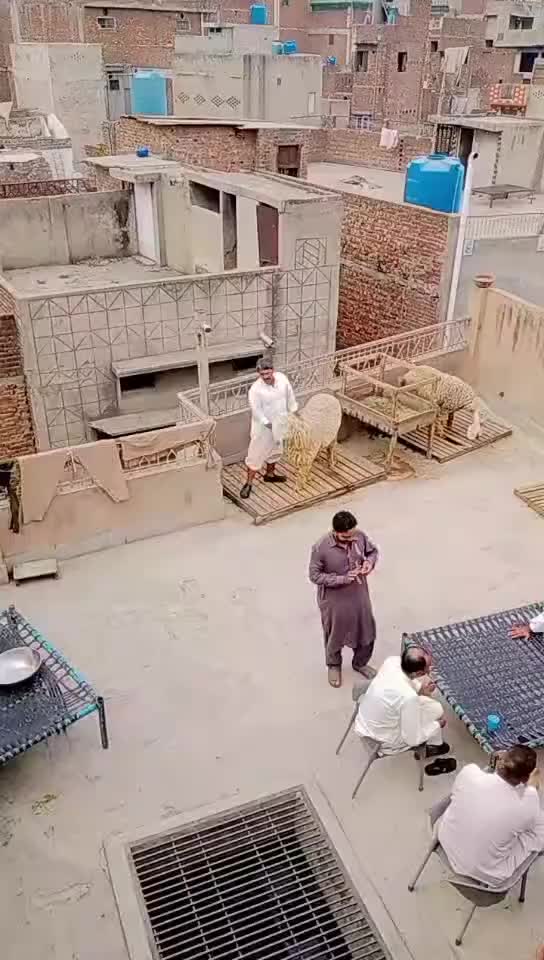 @shaangujjar222
