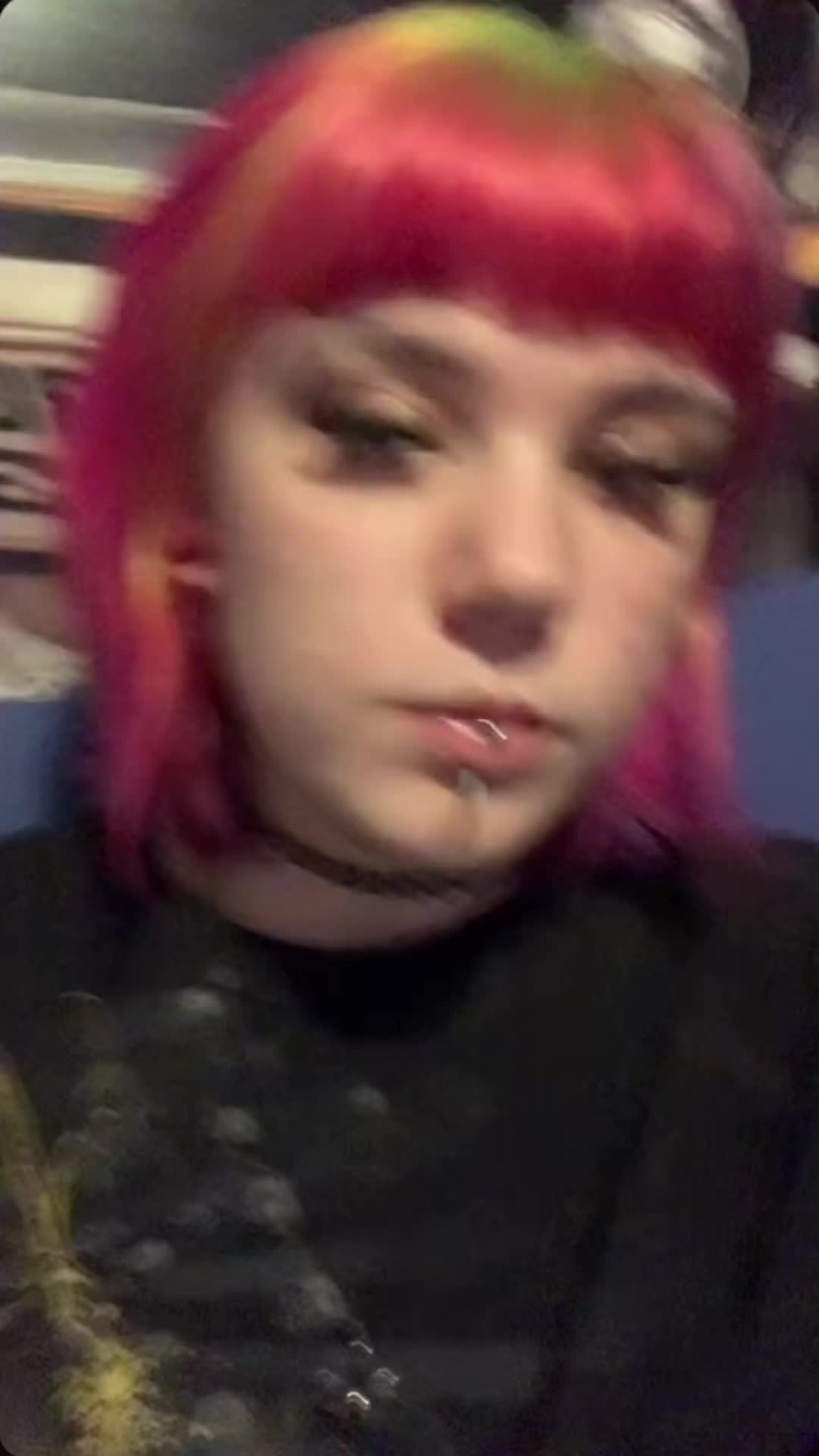 @ᓚᘏᗢ