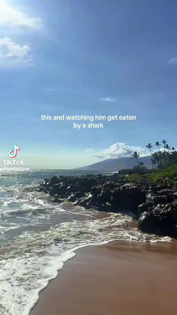 @Cinthya_the_Great🦈✨🧩🍃💨