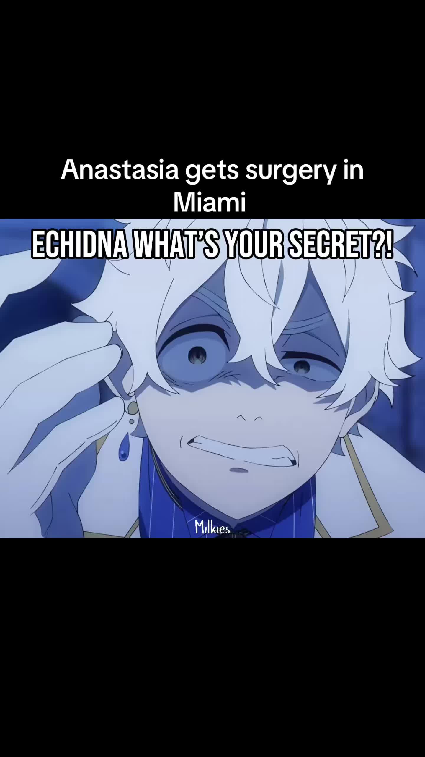 @Milkies/Echidna