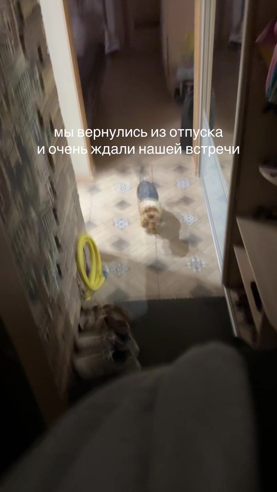 @лера и йорк толик