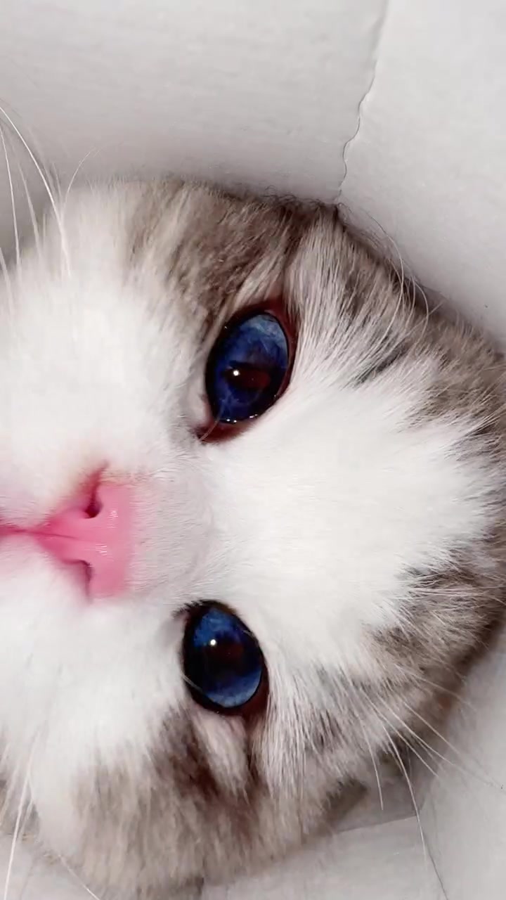 @عشق لاينتهي
