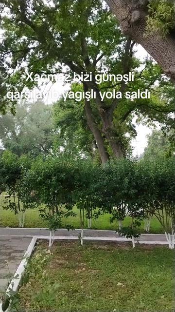 @xuramanrehimova3