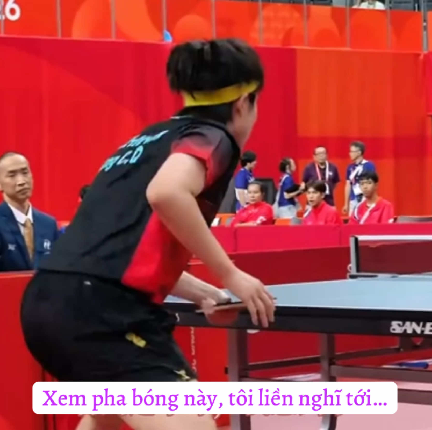 @Góc nhỏ dành cho ShaTou🦁🦈❤️