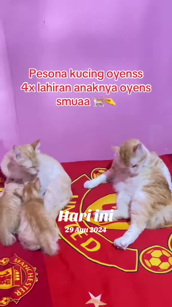@asdiiiah__