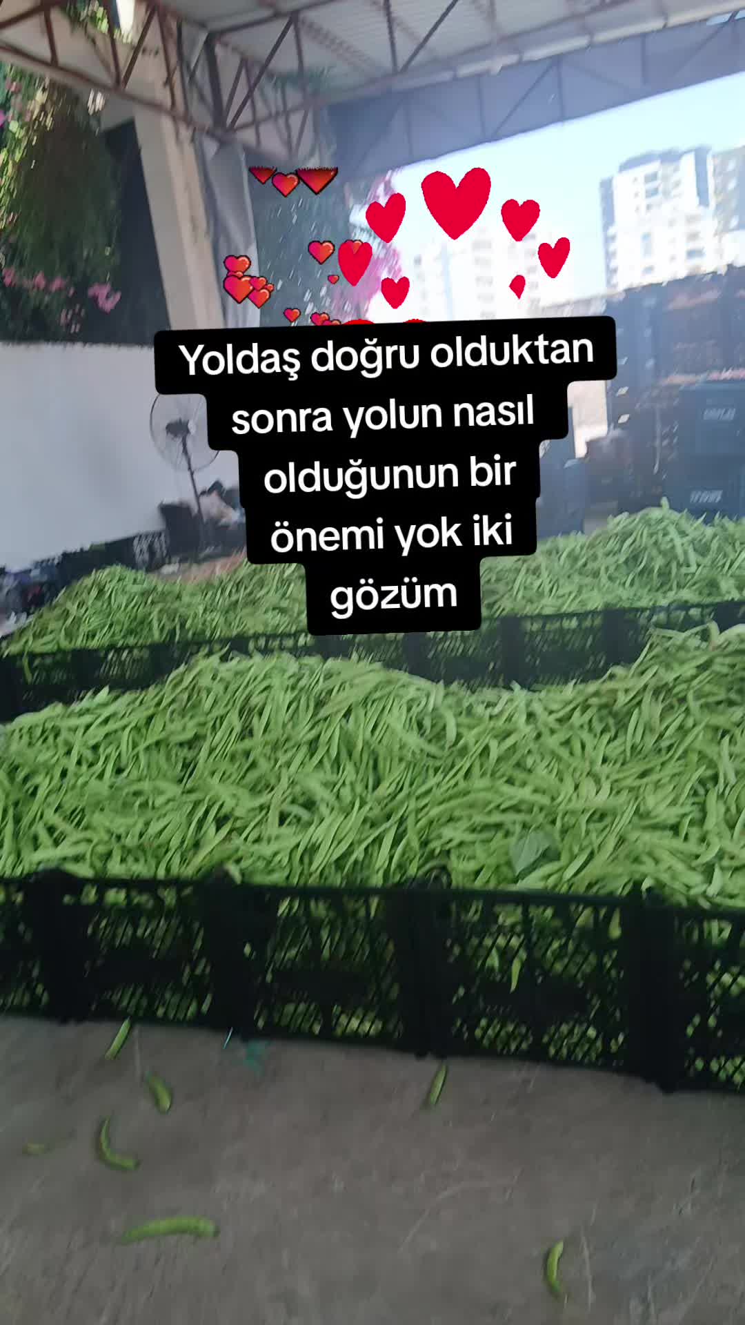 @Mira nur 33