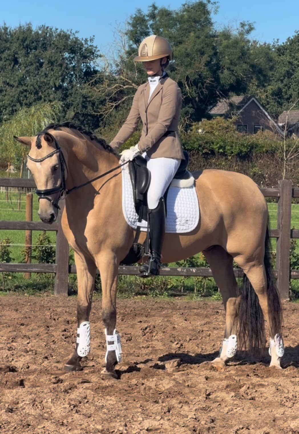 @Anais Super Pony&rsquo;s