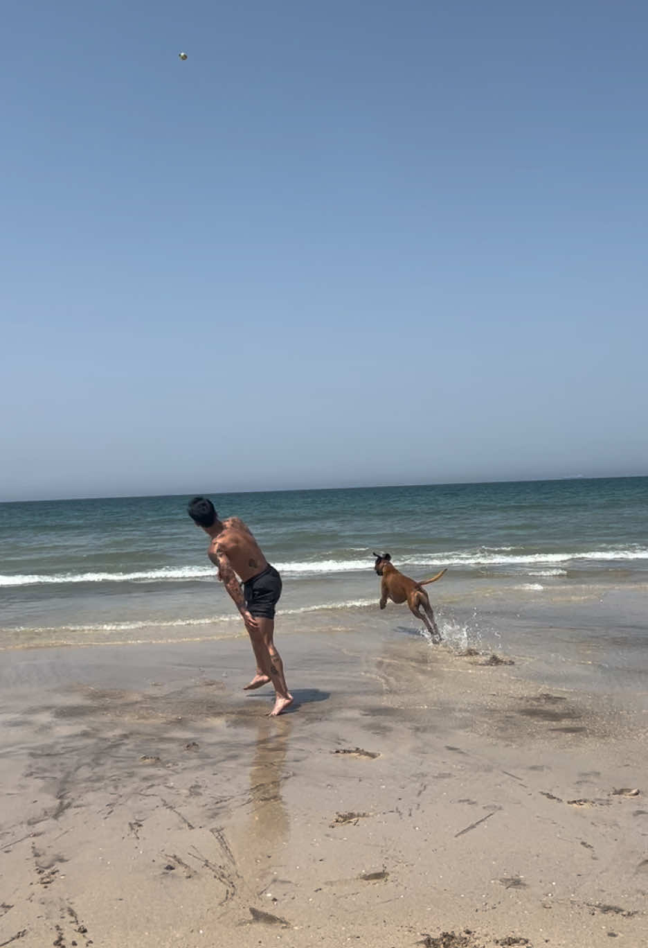 @عبدالله بوراشد