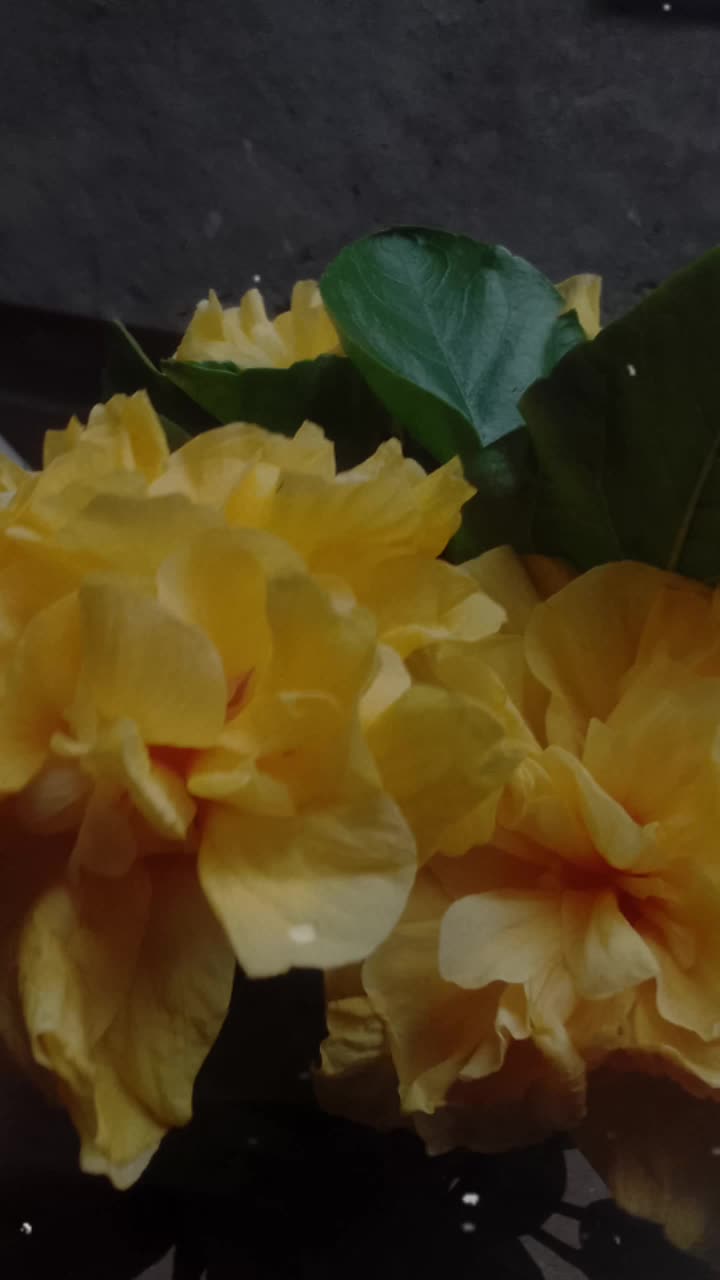 @🦋Ana🦋 G&oacute;mez🌼