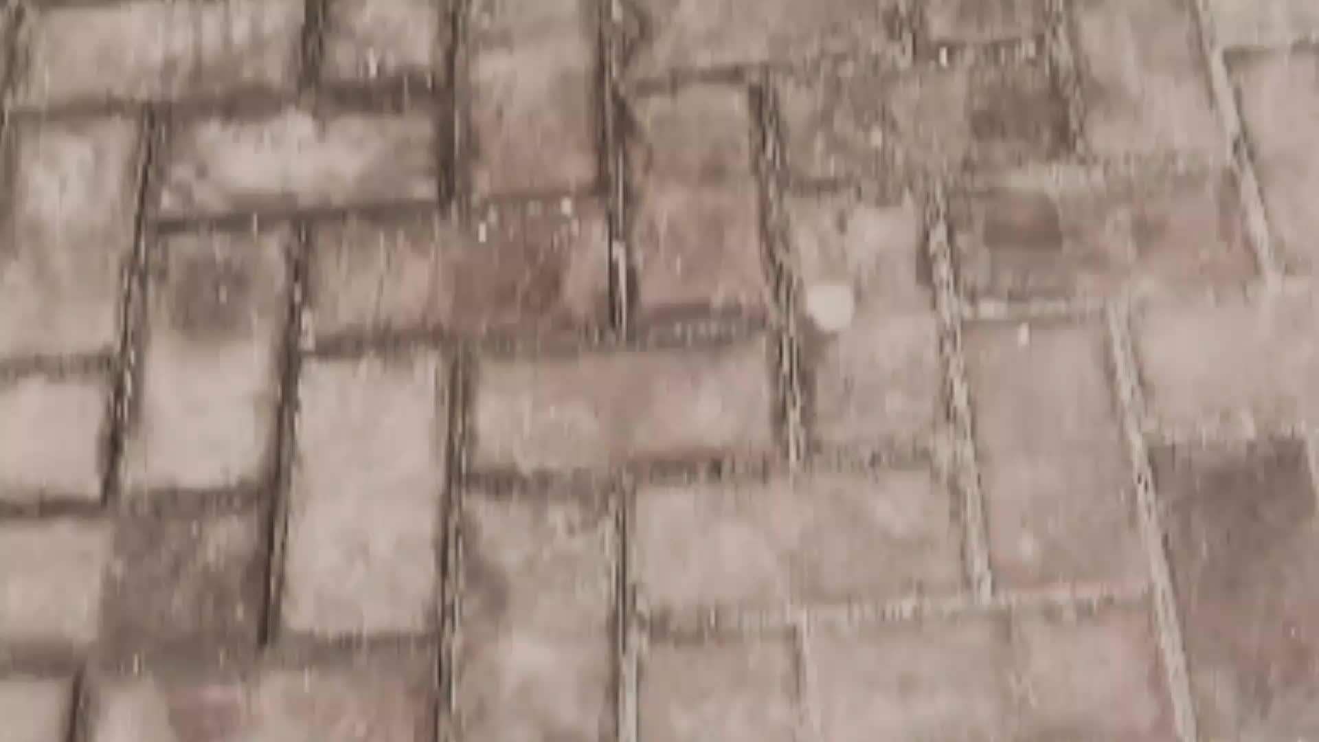 @بيسبايس || BeSpice