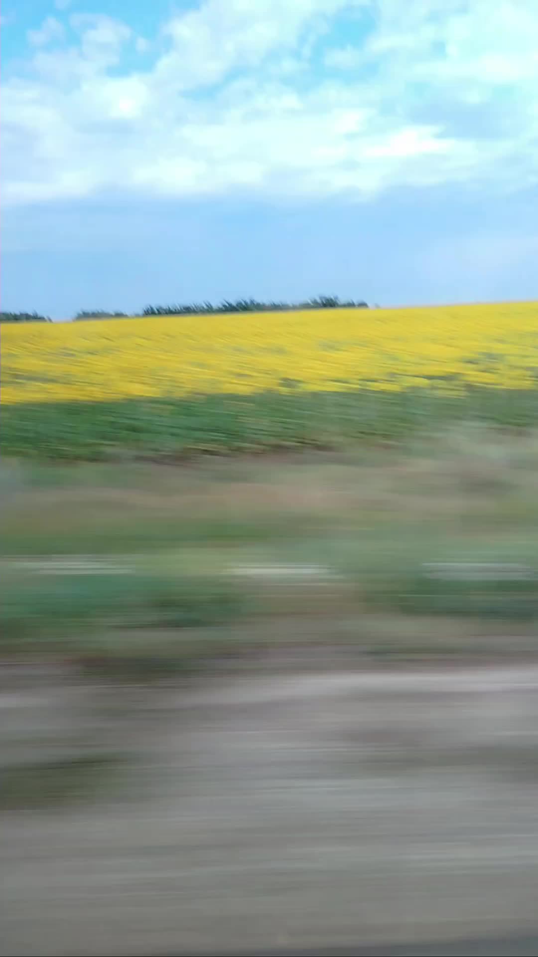 @𝗫𝗼𝗹𝗯𝗼𝘆_𝟭𝟵𝟵𝟵