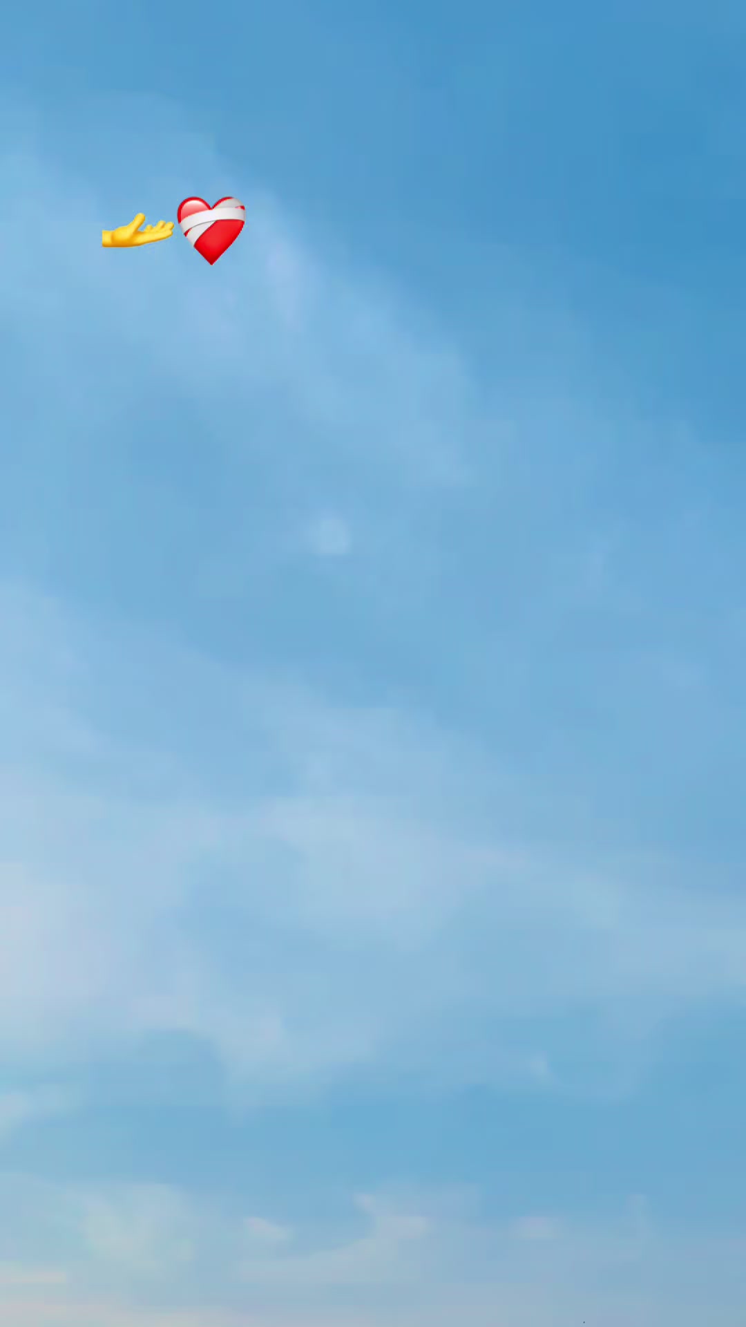 @💞حافظ ضیاء ٣١٣💞