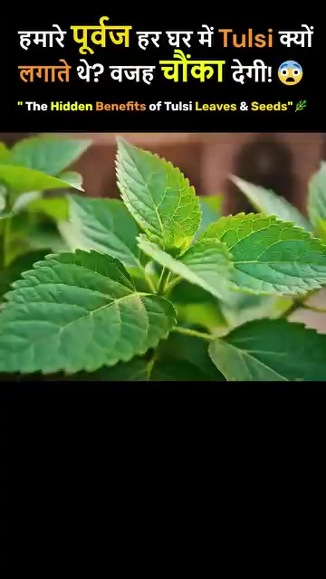 @jpkushmi📿🕉️🔱