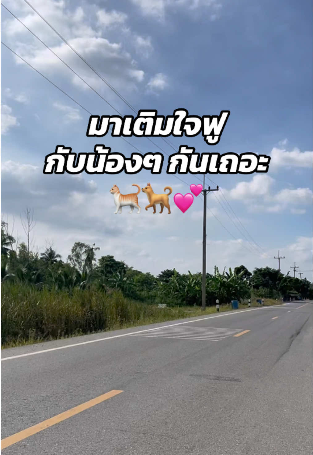 @Ssaranyys