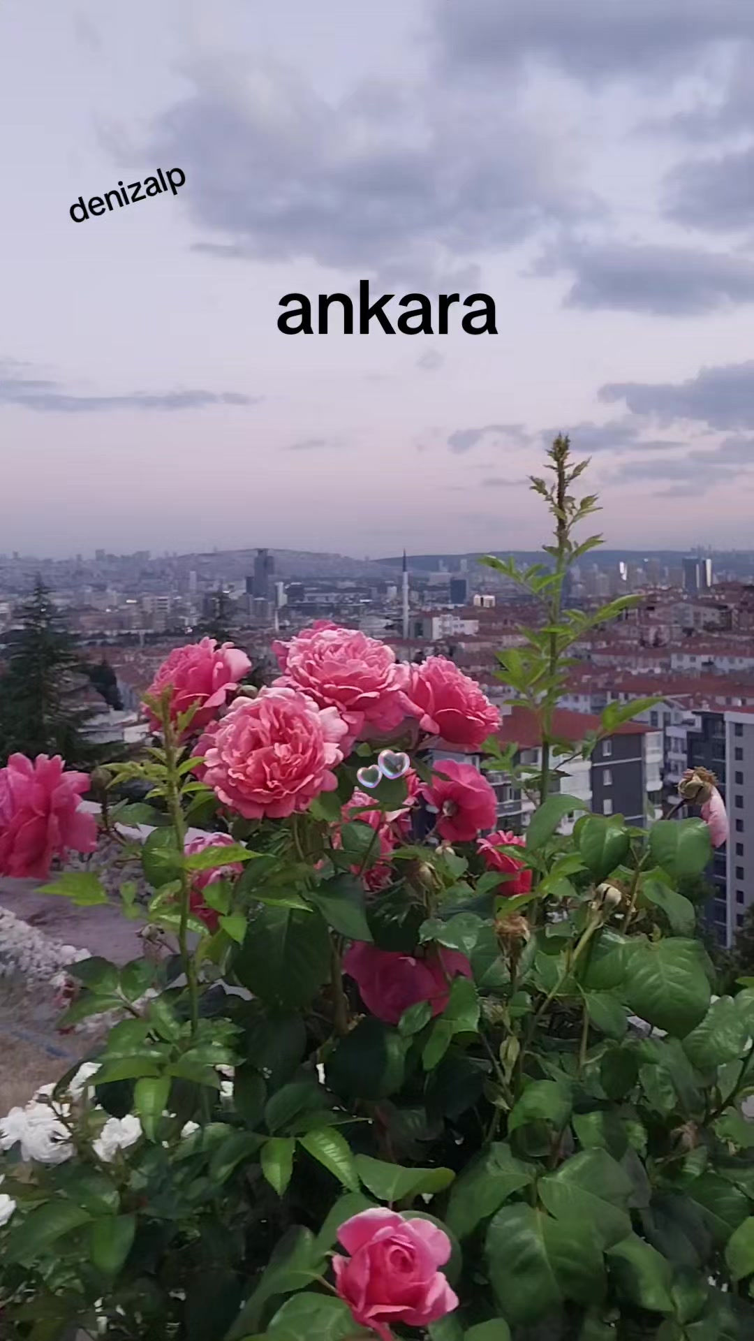 @06 ❤️denizalp❤️19