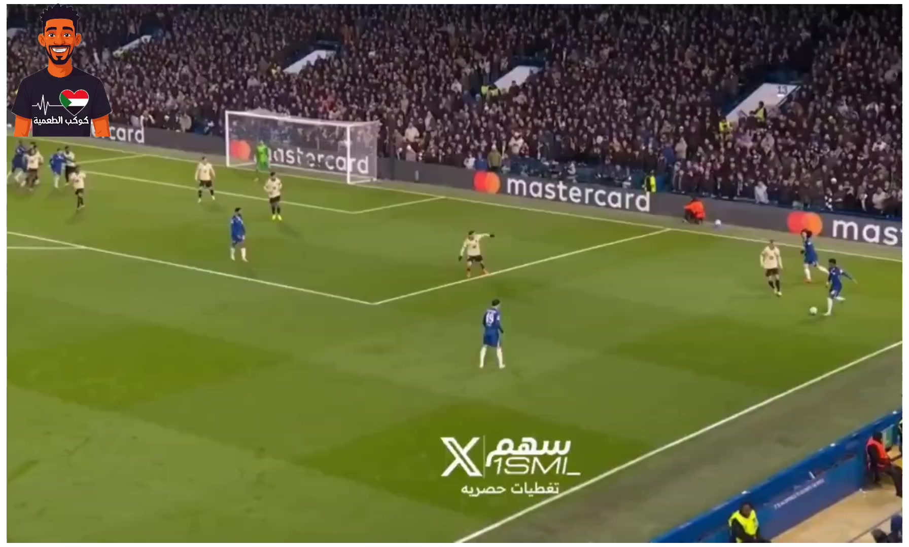 @كوكب الطعمية