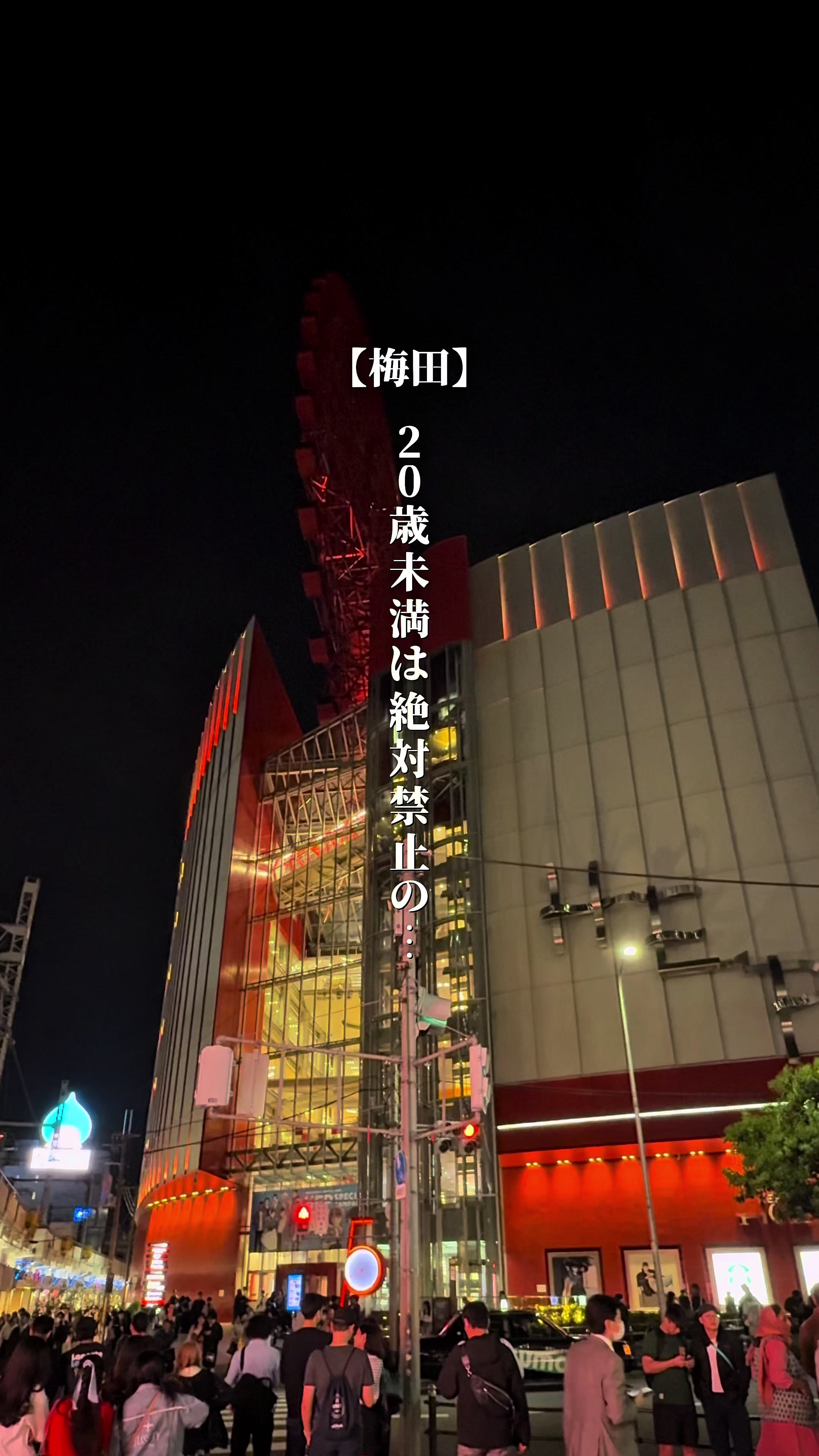 @梅田グルメ【公式】 | ランチ・ディナー