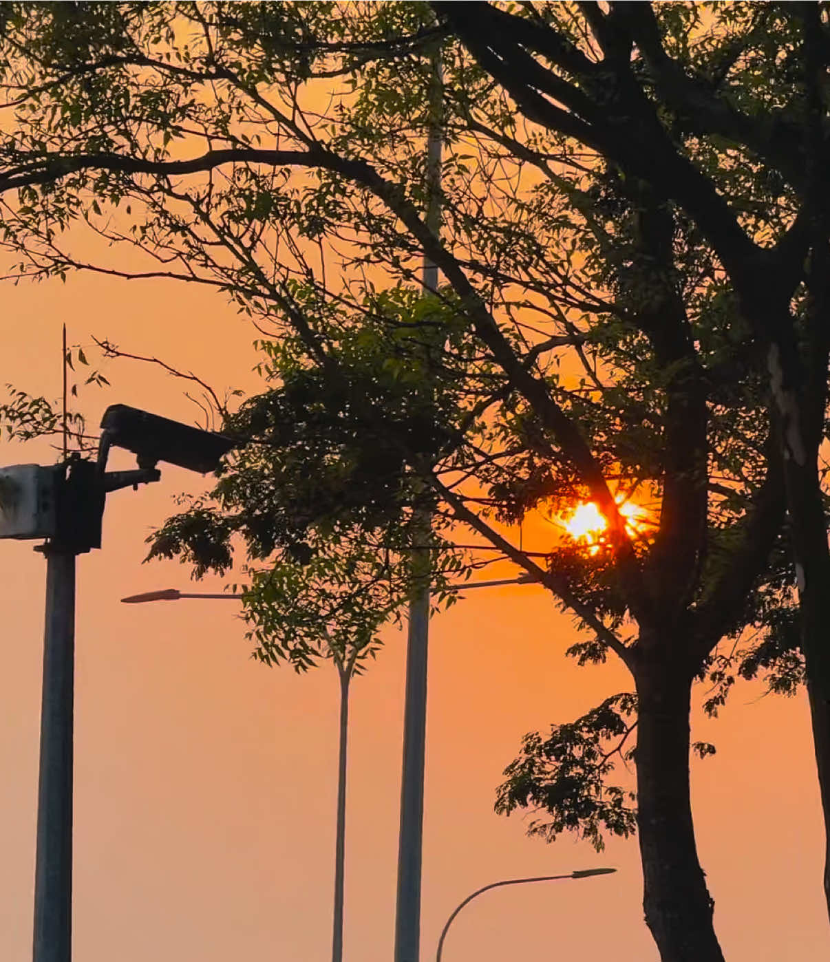 @প্রকৃতি 🍃