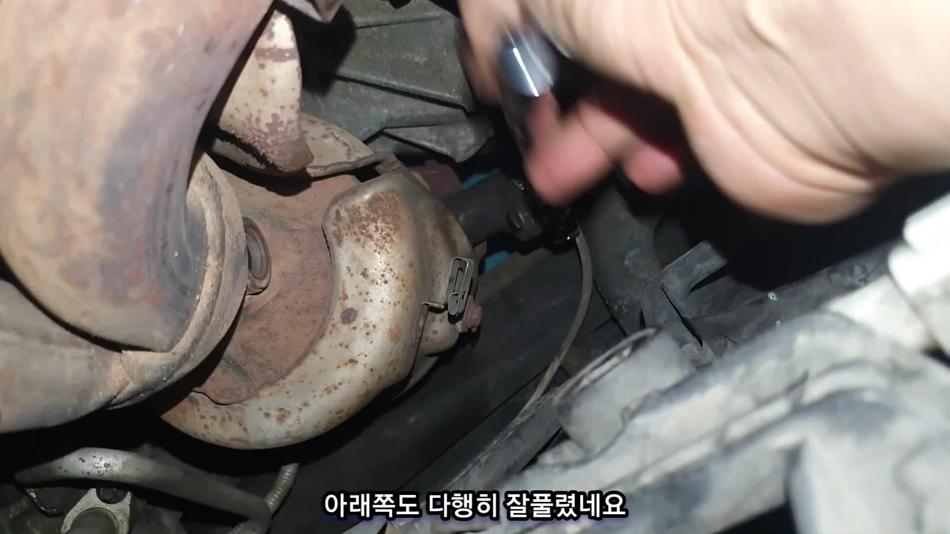 @귀여운친구