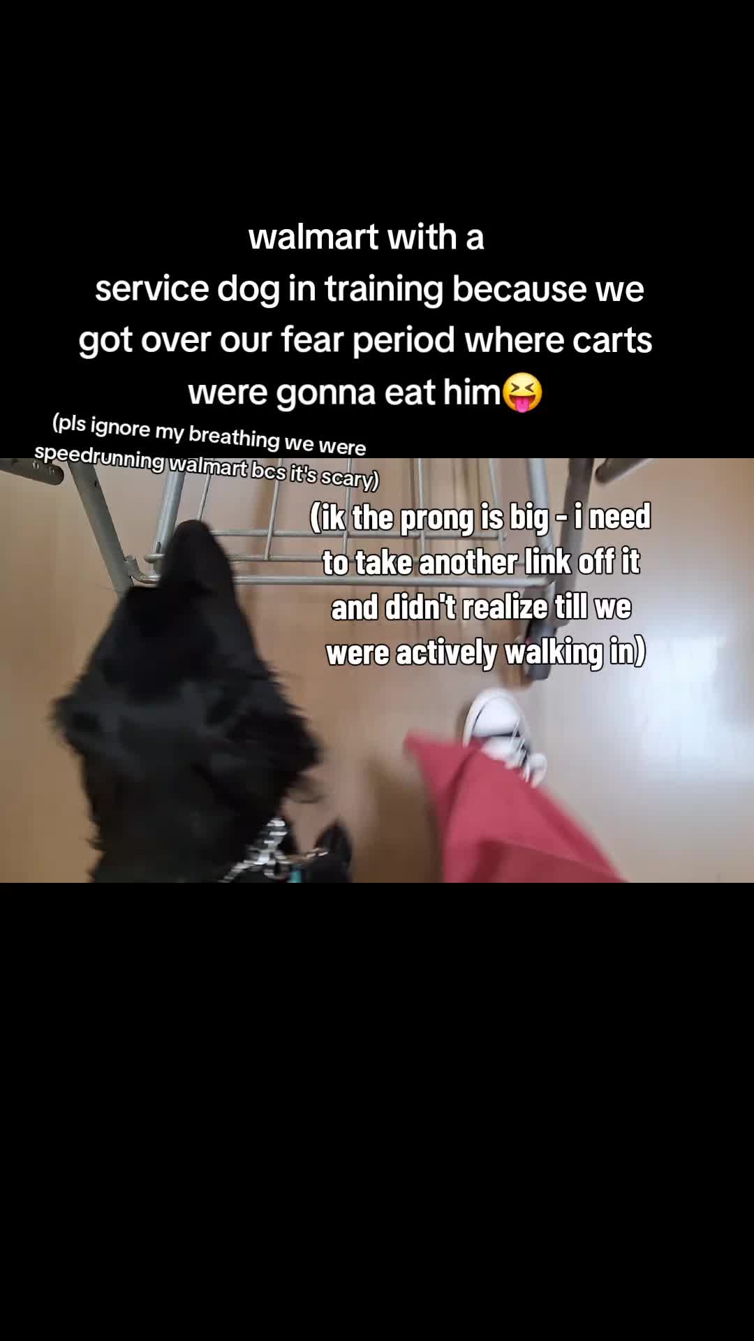 @dylan_the_gothic_golden