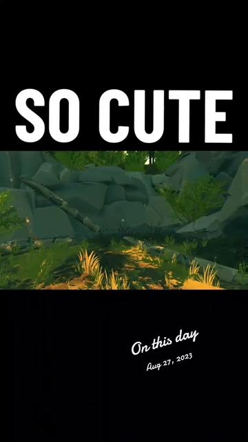 @SAVAGE VIDS