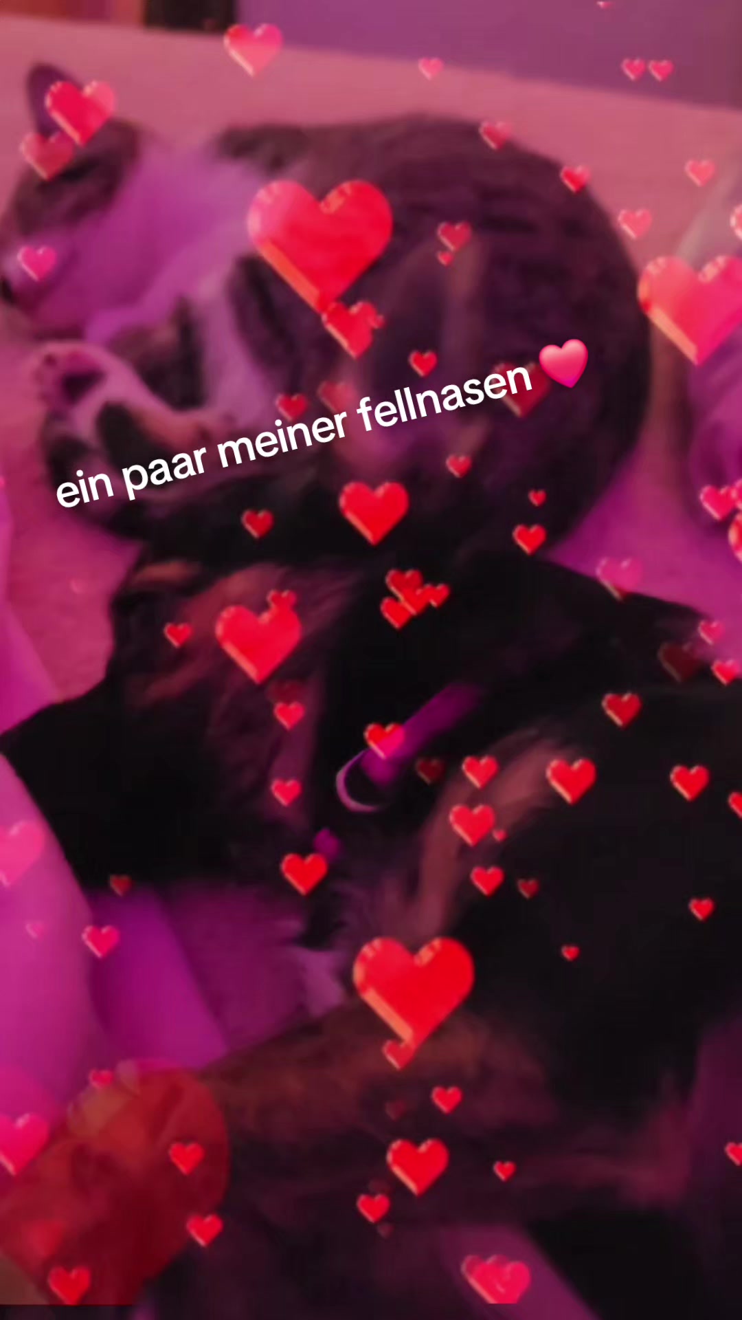 @Sabine 🩷💎 Sumsebine 💎🩷