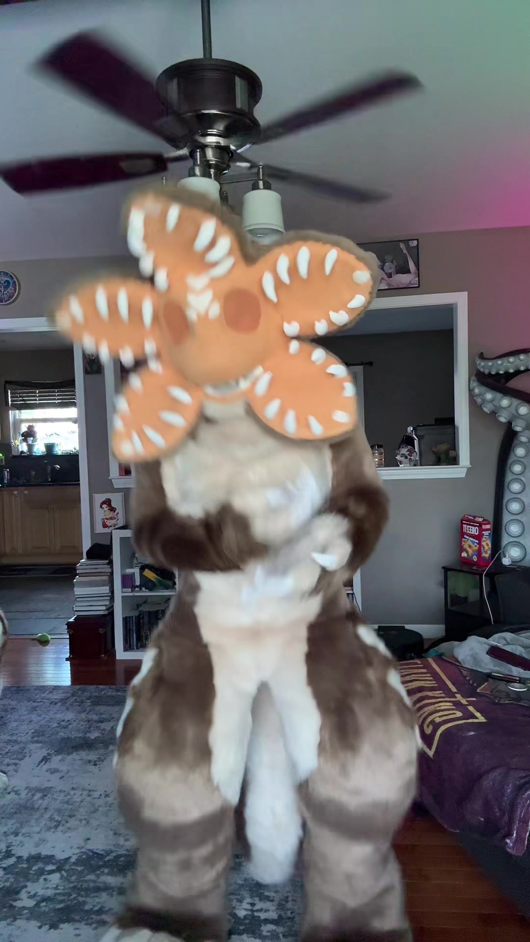 @Holofox