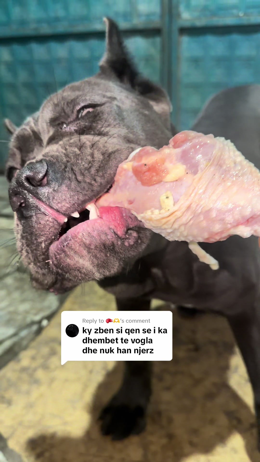 @guardiani_di_lako