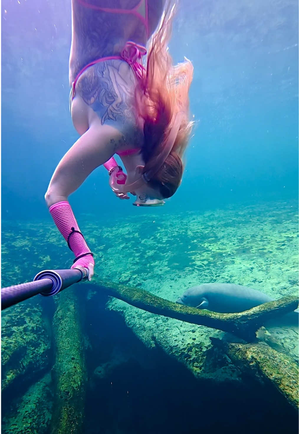 @Coralia Dives ๐งโ๏ธ