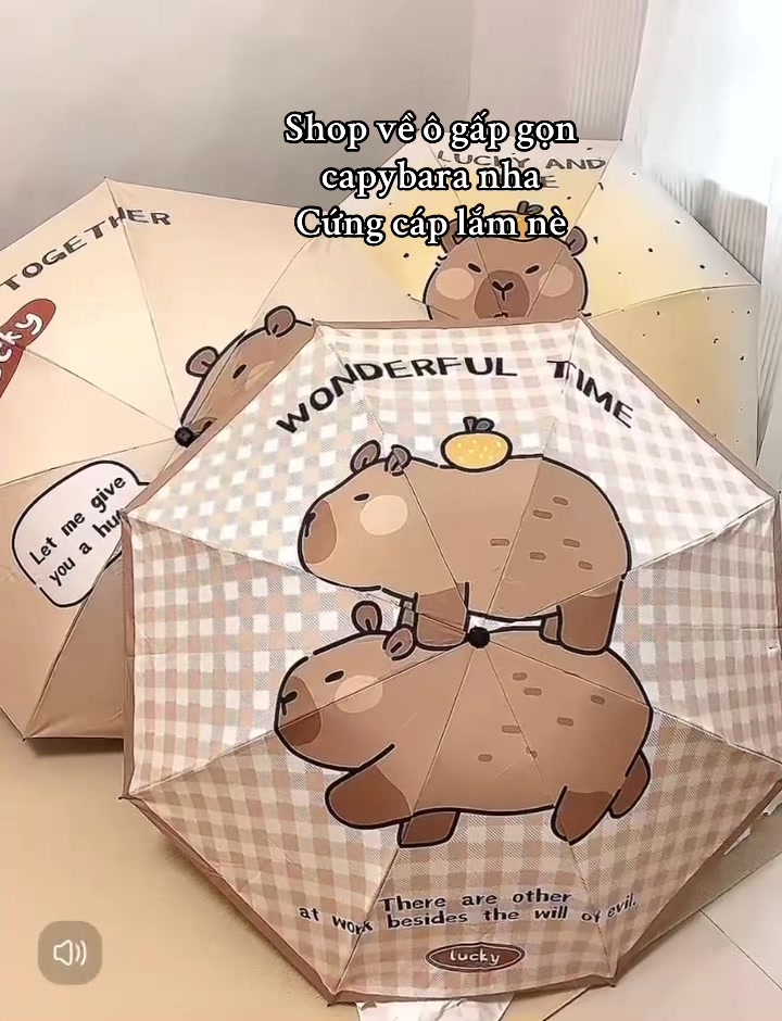 @KemDaily