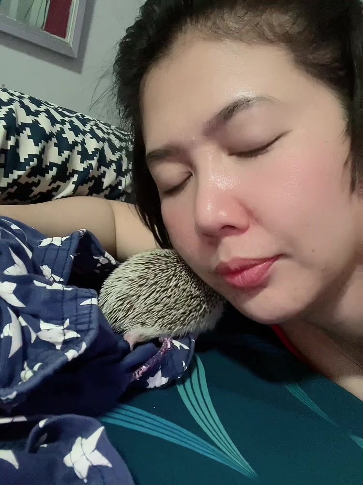 @❤️เป็ปเปอร์หมูจู๊ด❤️