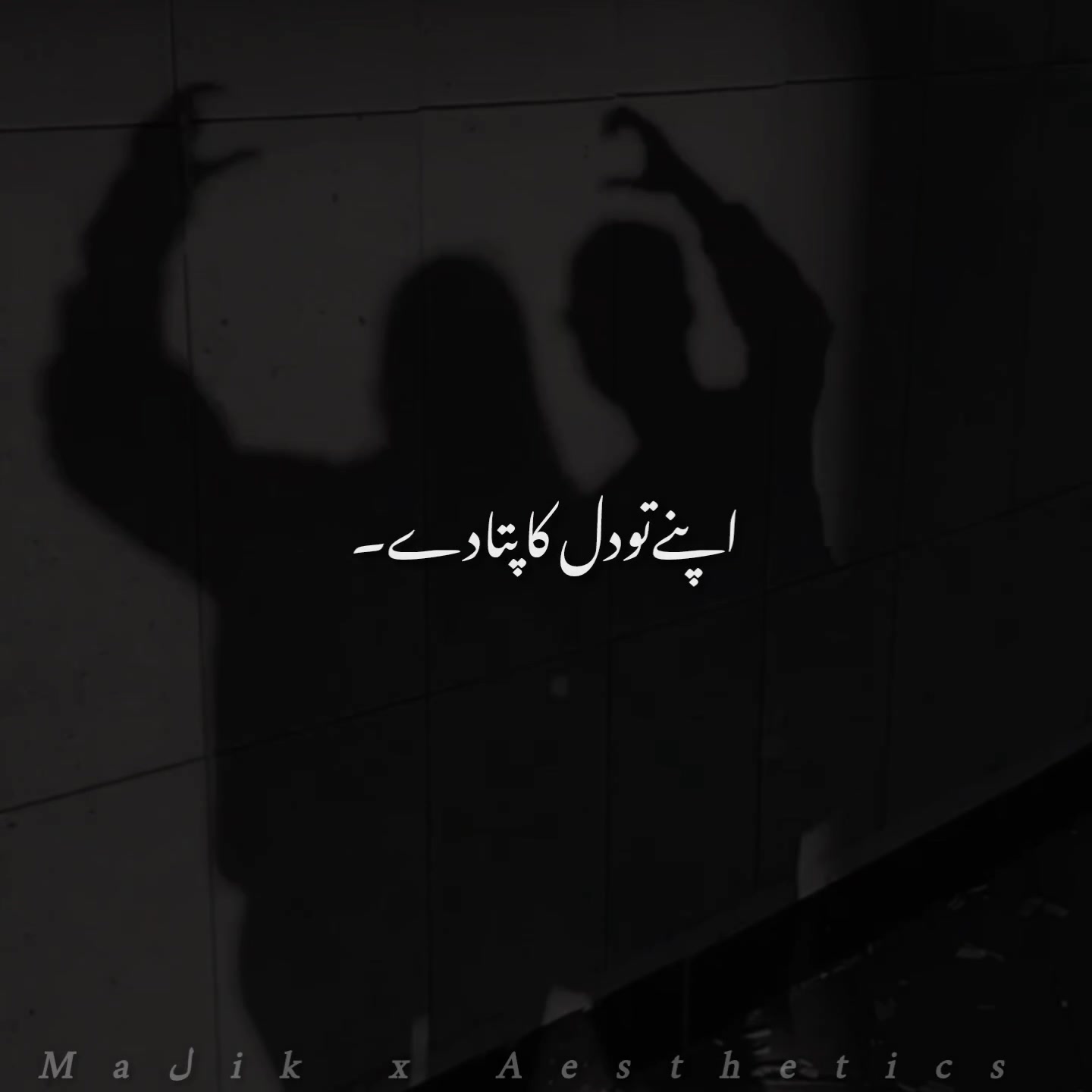 @𝑴𝑨𝑳𝑰𝑲 𝑨𝑬𝑺𝑻𝑰𝑿🎧