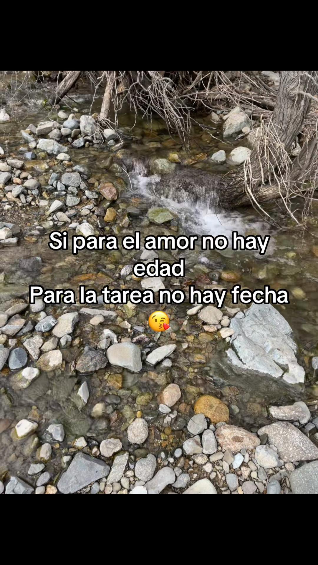 @Amanda.belen._.🖤🦋