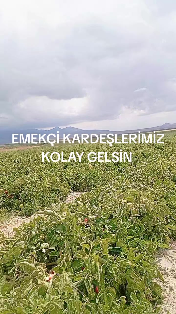 @motorcukız4242