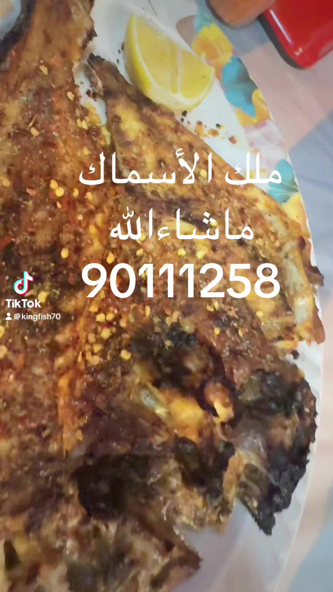 @KING FISH 🇴🇲 مـلـك الأســماك