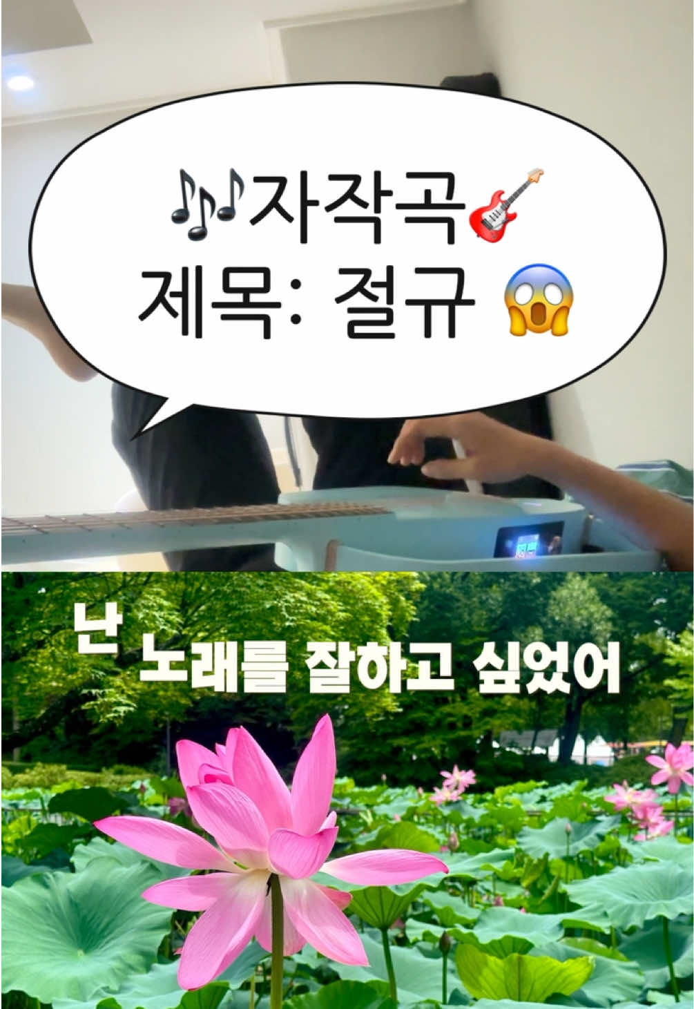@뮤시아_오늘뭐찍지?