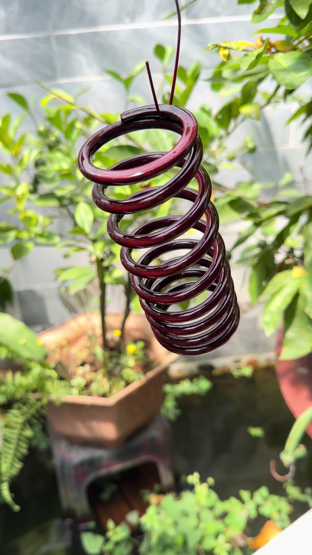 @Hoàng Phi